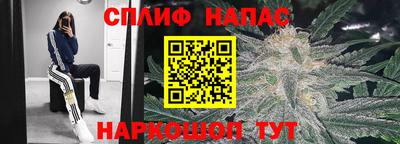 дмт Ярославль