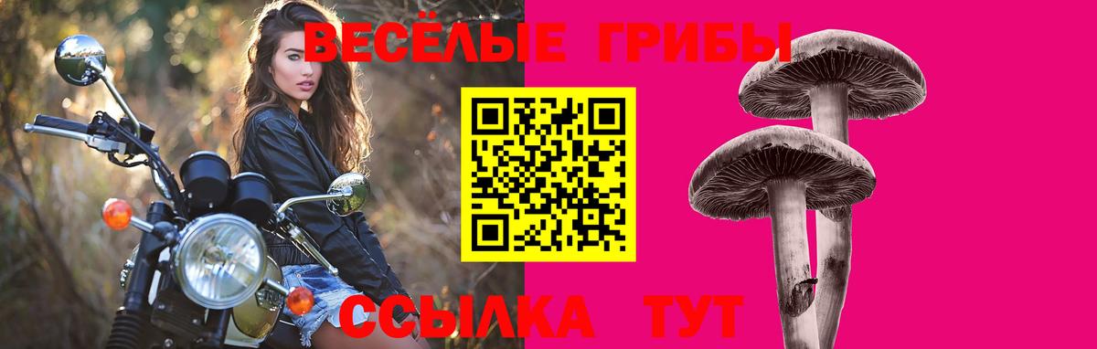 Барнаул  Псилоцибиновые грибы ЛСД  Вход с VPN 